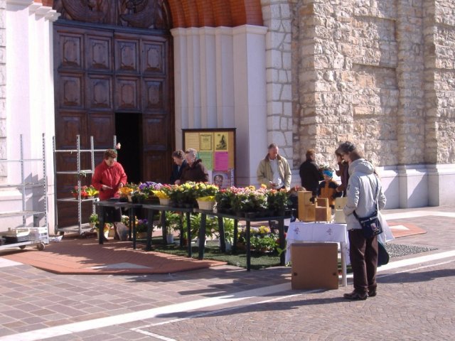 2009 fiori marzo (1)